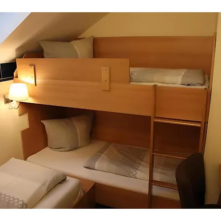住宿加早餐酒店 Gaestehaus Elzblick Ii 3*