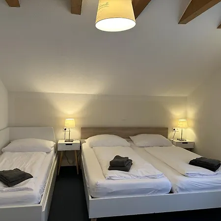 住宿加早餐酒店 Gaestehaus Elzblick Ii 3*